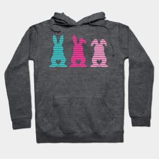 Three Easter Striped Bunnies with Heart Shaped Tails Hoodie